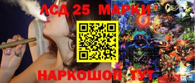 mdpv Краснознаменск