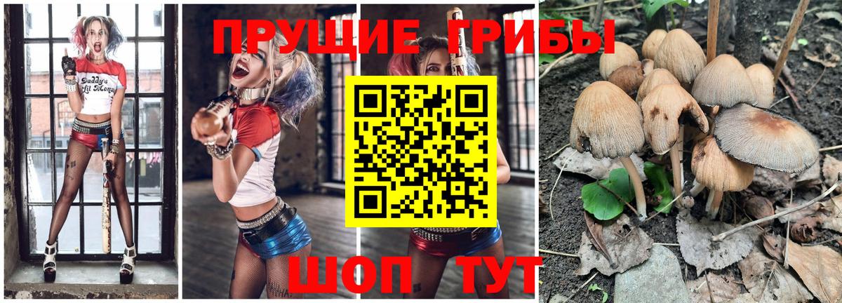Кировск  Псилоцибиновые грибы ЛСД  Вход с VPN 