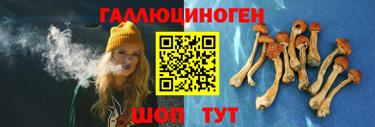 Псилоцибиновые грибы Psilocybe Кировск